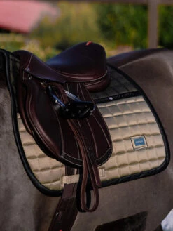 Equestrian Stockholm Jump Saddle Pad Sportive Chantelle 5 Equestrian Stockholm Jump Saddle Pad Sportive Chantelle -Equestrian Club 01 saddle pad jump full hover