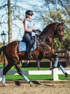 PS Of Sweden Minna Sleeveless Polo Shirt Light Blue -Equestrian Club 178512617 origpic 66a2fe