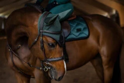 Equestrian Stockholm Ear Bonnet Sycamore Green -Equestrian Club 2222