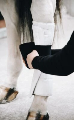 Kentucky Working Bandage Pads White/Black 5 Kentucky Working Bandage Pads White/Black -Equestrian Club 227e6ff0c107e0a200f73307aee7c4e2d480628447f73de8171822044fea6797