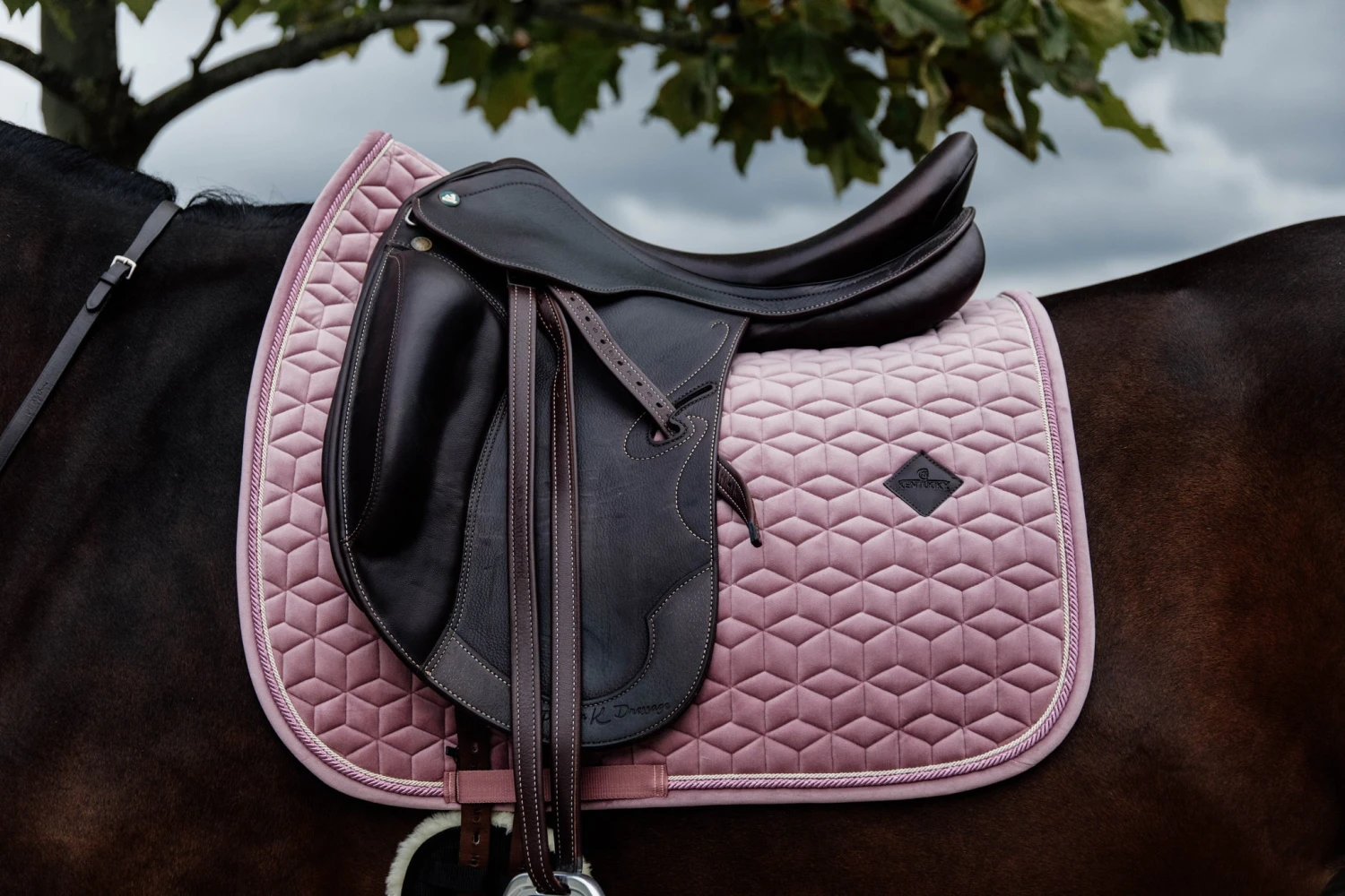 Kentucky Velvet Dressage Saddle Pad Old Rose 2 Kentucky Velvet Dressage Saddle Pad Old Rose - Image 2