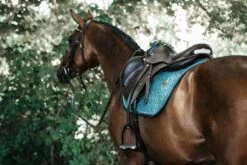 Kentucky Velvet Jump Saddle Pad Emerald 7 Kentucky Velvet Jump Saddle Pad Emerald -Equestrian Club 3e682ab3f977aec7d4b40da505e6d352a23e09a0cbef94e875de8329a25da876