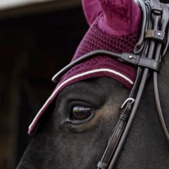Kentucky Velvet Wellington Ear Bonnet Bordeaux 6 Kentucky Velvet Wellington Ear Bonnet Bordeaux -Equestrian Club 485a5168 e8502ded370e565d04389cf2c54c4715 article photobook crop