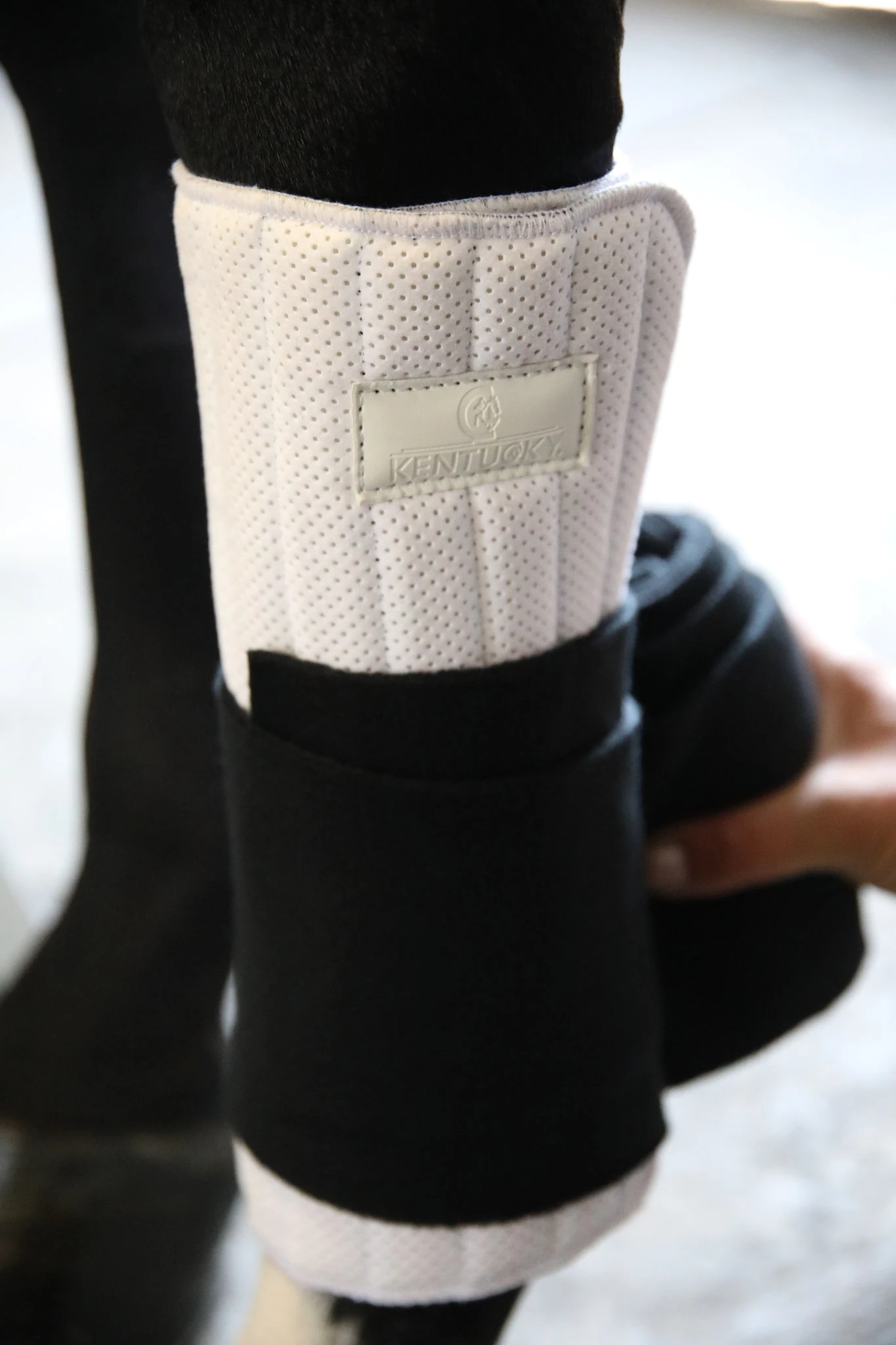 Kentucky Working Bandage Pads White/Black 2 Kentucky Working Bandage Pads White/Black - Image 2