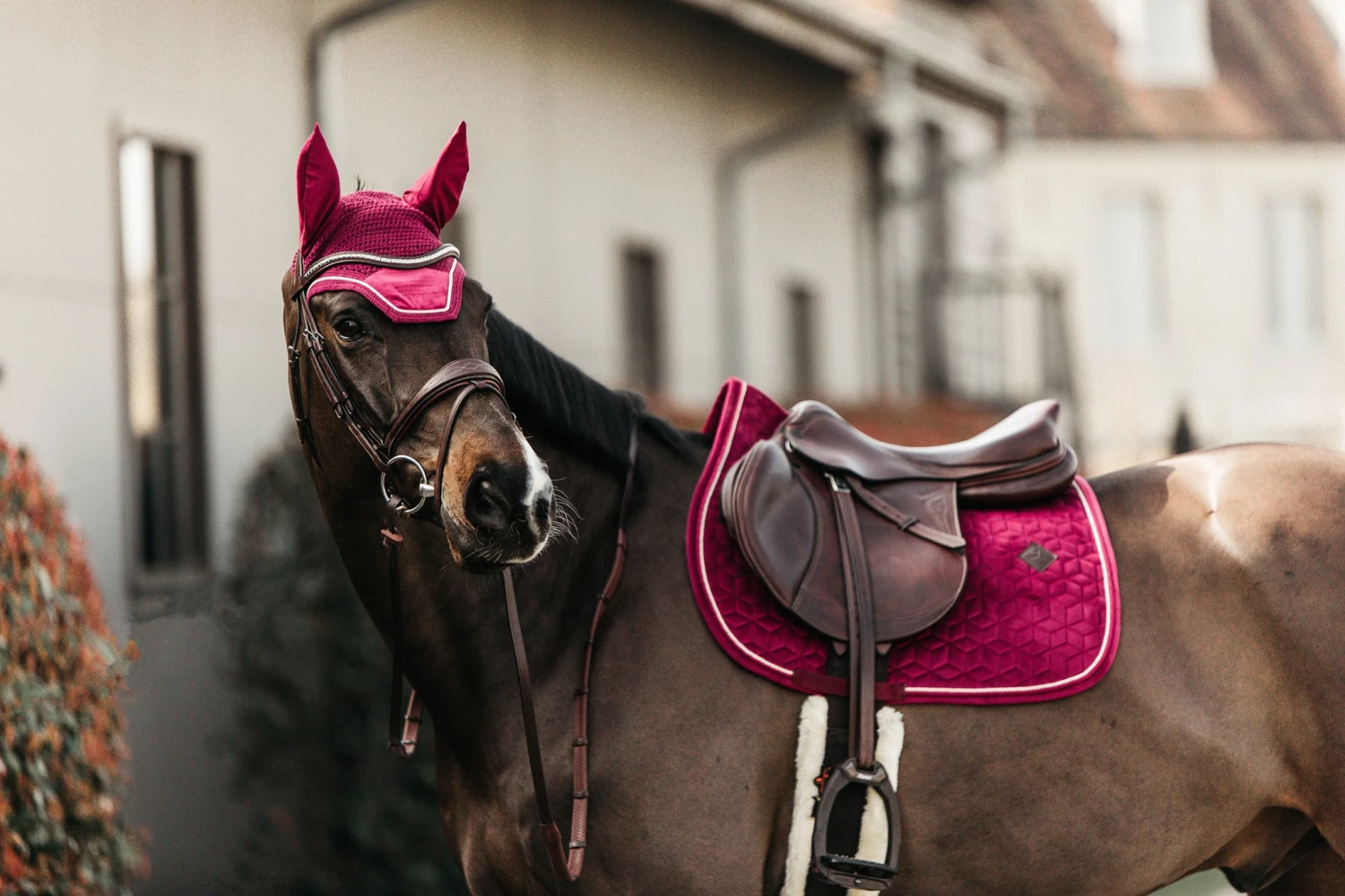 Kentucky Velvet Jump Saddle Pad Fuchsia 3 Kentucky Velvet Jump Saddle Pad Fuchsia - Image 3