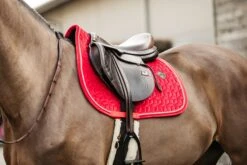 Kentucky Velvet Jump Saddle Pad Red 11 Kentucky Velvet Jump Saddle Pad Red -Equestrian Club 724a1d74f5be36473d5e059ab876deaf5ea155482c502b8b860993c514303eea