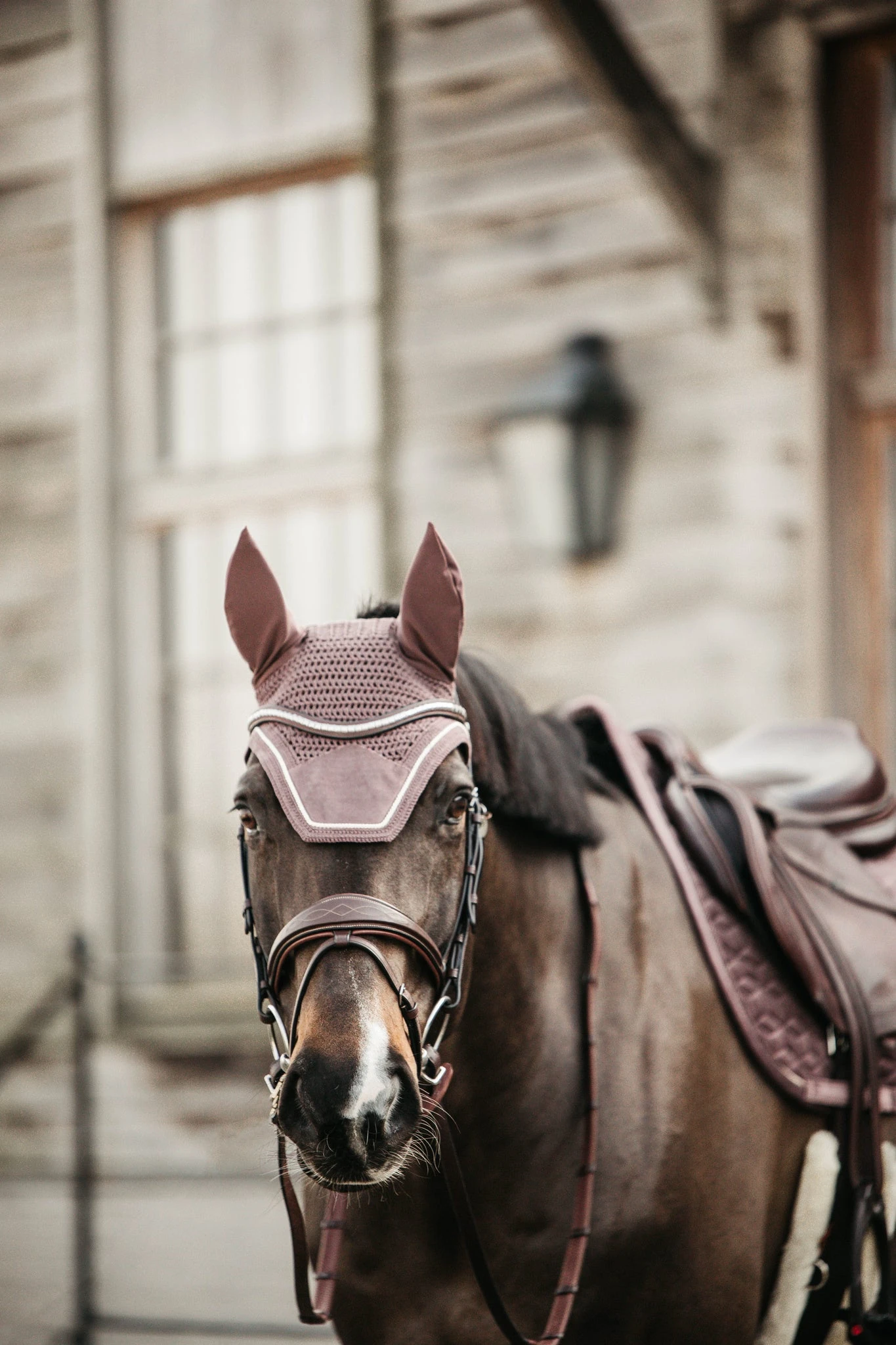Kentucky Velvet Wellington Ear Bonnet Light Purple 2 Kentucky Velvet Wellington Ear Bonnet Light Purple - Image 2