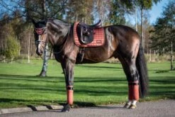 Equito Dressage Saddle Pad Cinnamon Spice -Equestrian Club 76 scaled 1