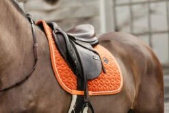 Kentucky Velvet Jump Saddle Pad Orange 9 Kentucky Velvet Jump Saddle Pad Orange -Equestrian Club 8c51598d24bc0e6d250dce36cd416a07e9d8d077240d9b97543b843df835ed4c
