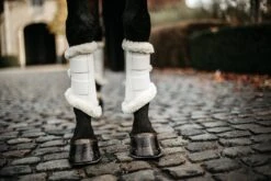 Kentucky Air Brushing Boots White 7 Kentucky Air Brushing Boots White -Equestrian Club 8decf6fc5448f1e68fa3678e30657e6177076f0eac6670263d69632414fb3ac8