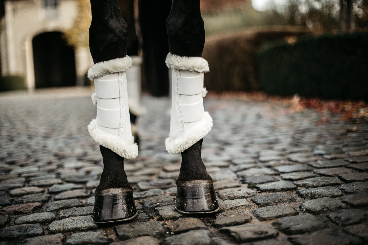 Kentucky Air Brushing Boots White 4 Kentucky Air Brushing Boots White - Image 4