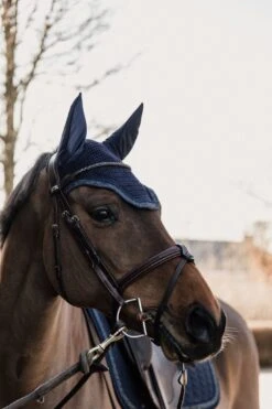 Kentucky Glitter Stone Soundless Wellington Ear Bonnet Dark Navy 5 Kentucky Glitter Stone Soundless Wellington Ear Bonnet Dark Navy -Equestrian Club 8ef687cc31251307d6600c759aec24d35eb6883731b8a9865ec1dcb4a5babd05 38034201 1729 4262 b4b7 523fce173ffb