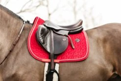 Kentucky Velvet Jump Saddle Pad Red 10 Kentucky Velvet Jump Saddle Pad Red -Equestrian Club 8fa34ce762f3ed35fccb5418416940aaef0881a4a9003c1b3b2bb43806894816