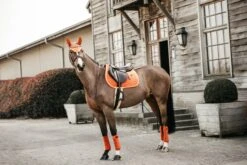 Kentucky Velvet Jump Saddle Pad Orange 11 Kentucky Velvet Jump Saddle Pad Orange -Equestrian Club 9268c6f75332e3f9b232595fd14be8f359fa4b51573ebf59397d1a1425cba83a