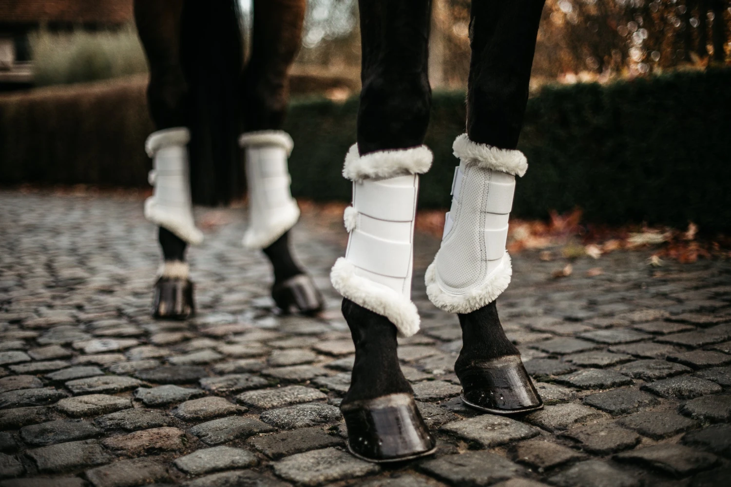 Kentucky Air Brushing Boots White 3 Kentucky Air Brushing Boots White - Image 3