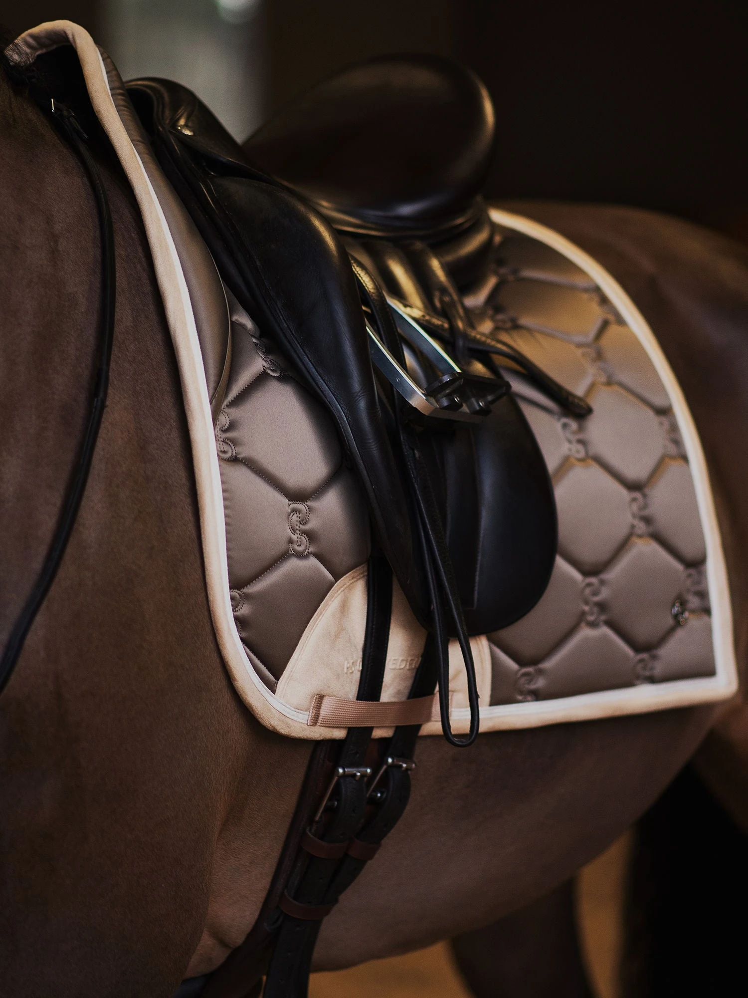 PS Of Sweden Essential Dressage Saddle Pad Chocolate Chip 3 PS Of Sweden Essential Dressage Saddle Pad Chocolate Chip - Image 3