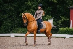 Equestrian Stockholm Dressage Saddle Pad Champagne -Equestrian Club DSC 0566