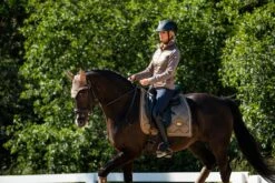 Equestrian Stockholm Dressage Saddle Pad Champagne -Equestrian Club DSC 2056