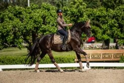 Equestrian Stockholm Dressage Saddle Pad Champagne -Equestrian Club DSC 2134 9fec117c 432f 469f bb55 a8f81c2d97d1