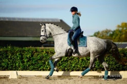 PS Of Sweden Monogram Dressage Saddle Pad Petrol -Equestrian Club DSC 4512