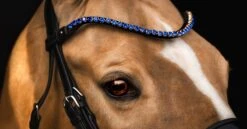 Utzon Equestrian Elegant Browband Sapphire -Equestrian Club DSC 6134