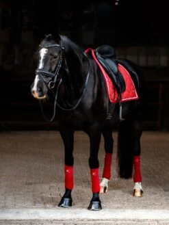 PS Of Sweden Stardust Dressage Saddle Pad Dark Red 8 PS Of Sweden Stardust Dressage Saddle Pad Dark Red -Equestrian Club DSC 6457 1