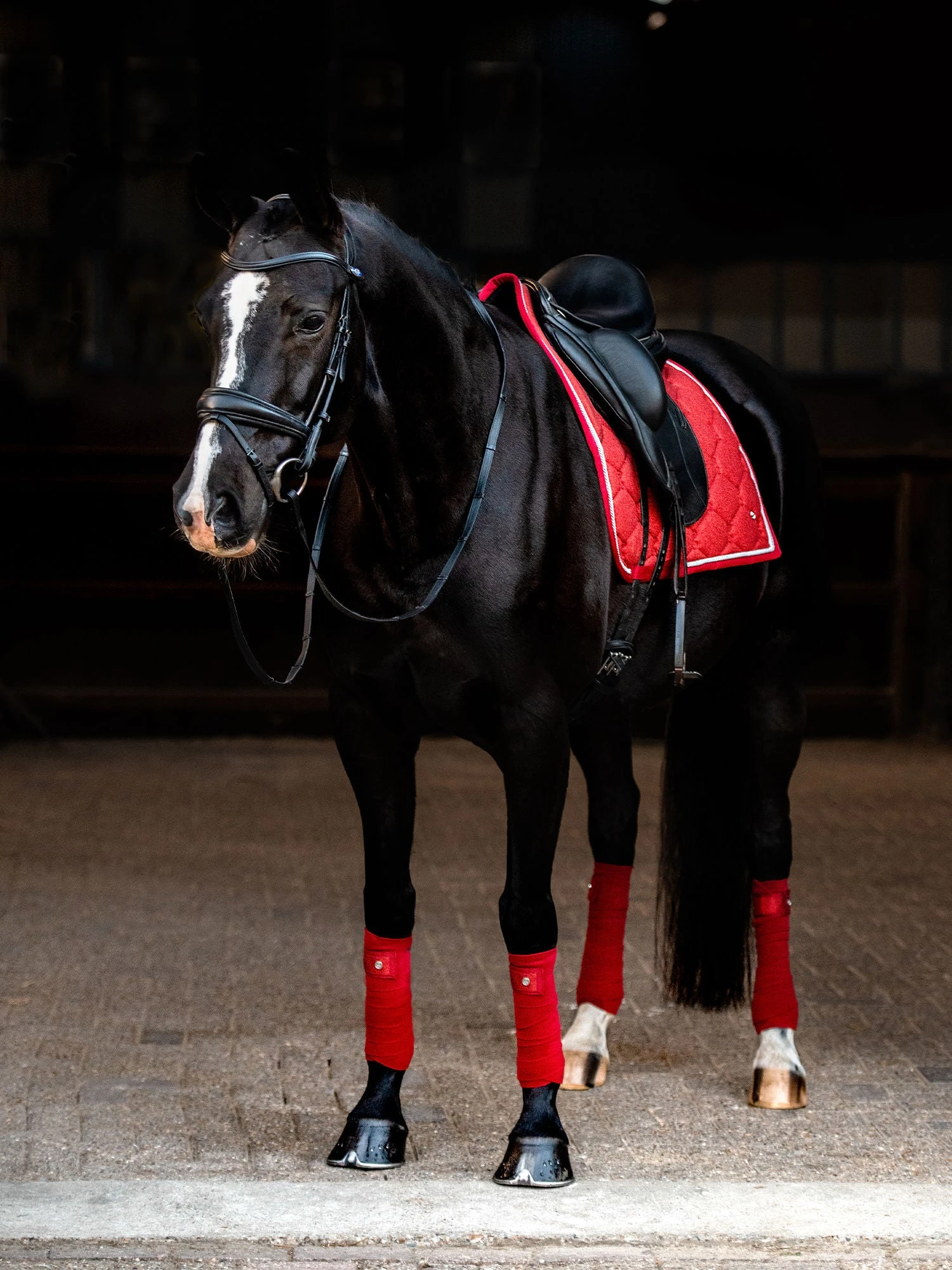 PS Of Sweden Stardust Dressage Saddle Pad Dark Red 3 PS Of Sweden Stardust Dressage Saddle Pad Dark Red - Image 3
