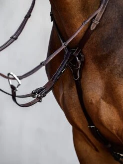 PS Of Sweden Breastplate Melbourne -Equestrian Club DSC 8646