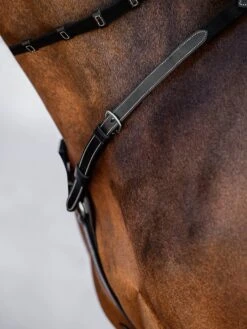 PS Of Sweden Breastplate Melbourne -Equestrian Club DSC 9087