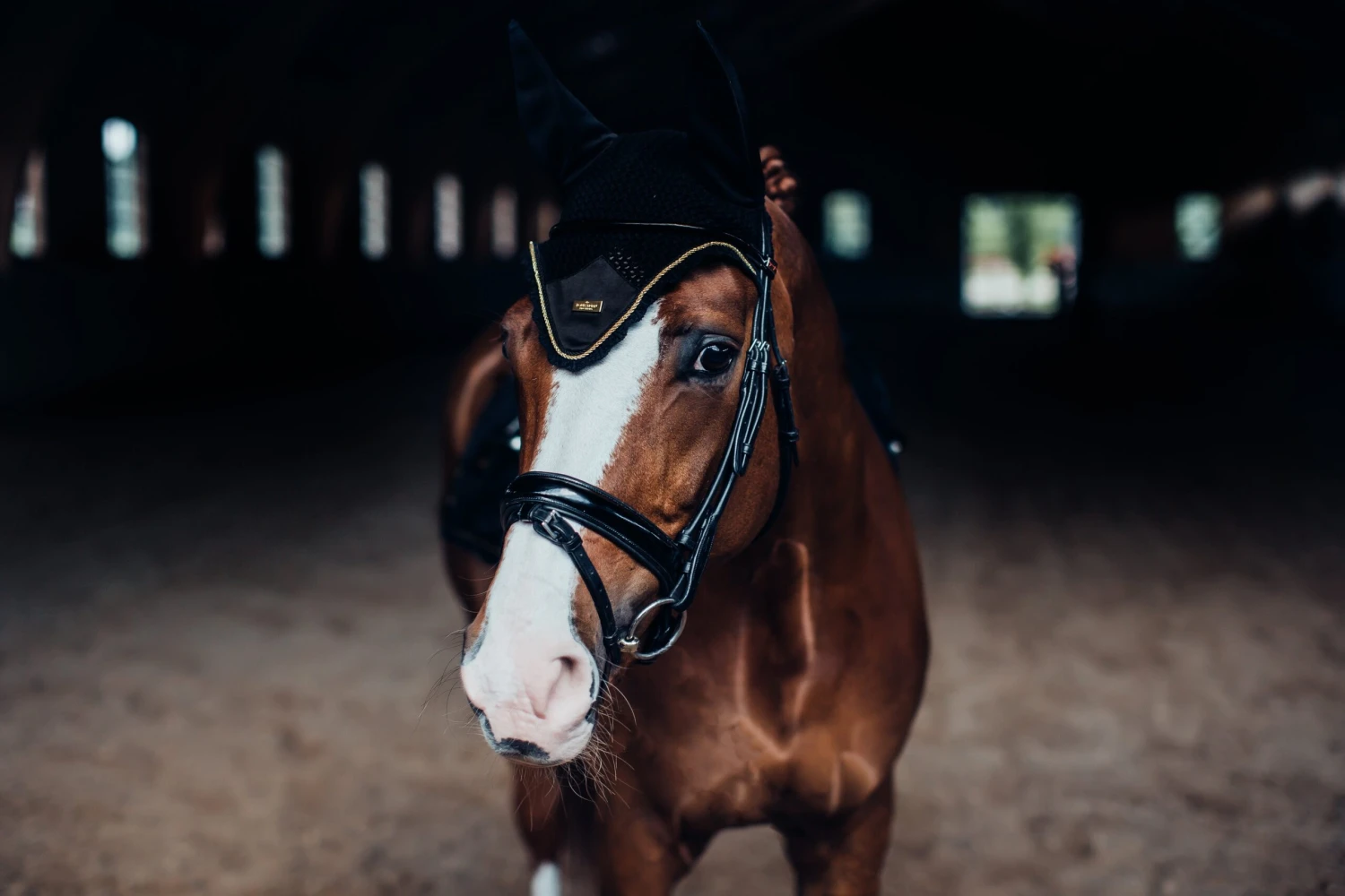 Equestrian Stockholm Ear Bonnet Black Gold 4 Equestrian Stockholm Ear Bonnet Black Gold - Image 4