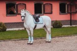 Equestrian Stockholm Bandages Ice Blue -Equestrian Club MG 1250
