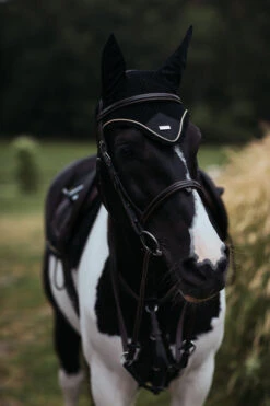 Equestrian Stockholm Ear Bonnet Black Gold 6 Equestrian Stockholm Ear Bonnet Black Gold -Equestrian Club MG 2025