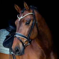 SD Design Be Tempted Browband Peppermint Cake Pop -Equestrian Club R 1016 SD Be Tempted browband6 1