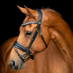 SD Design Vivaldi Browband Clear 9 SD Design Vivaldi Browband Clear -Equestrian Club R 1206 SD VIvaldi bridle 1