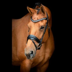 SD Design Vivaldi Browband Clear 8 SD Design Vivaldi Browband Clear -Equestrian Club R 1206 SD VIvaldi bridle3 1