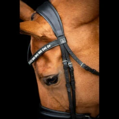 SD Design Vivaldi Browband Clear 10 SD Design Vivaldi Browband Clear -Equestrian Club R 1206 SD VIvaldi bridle5 1