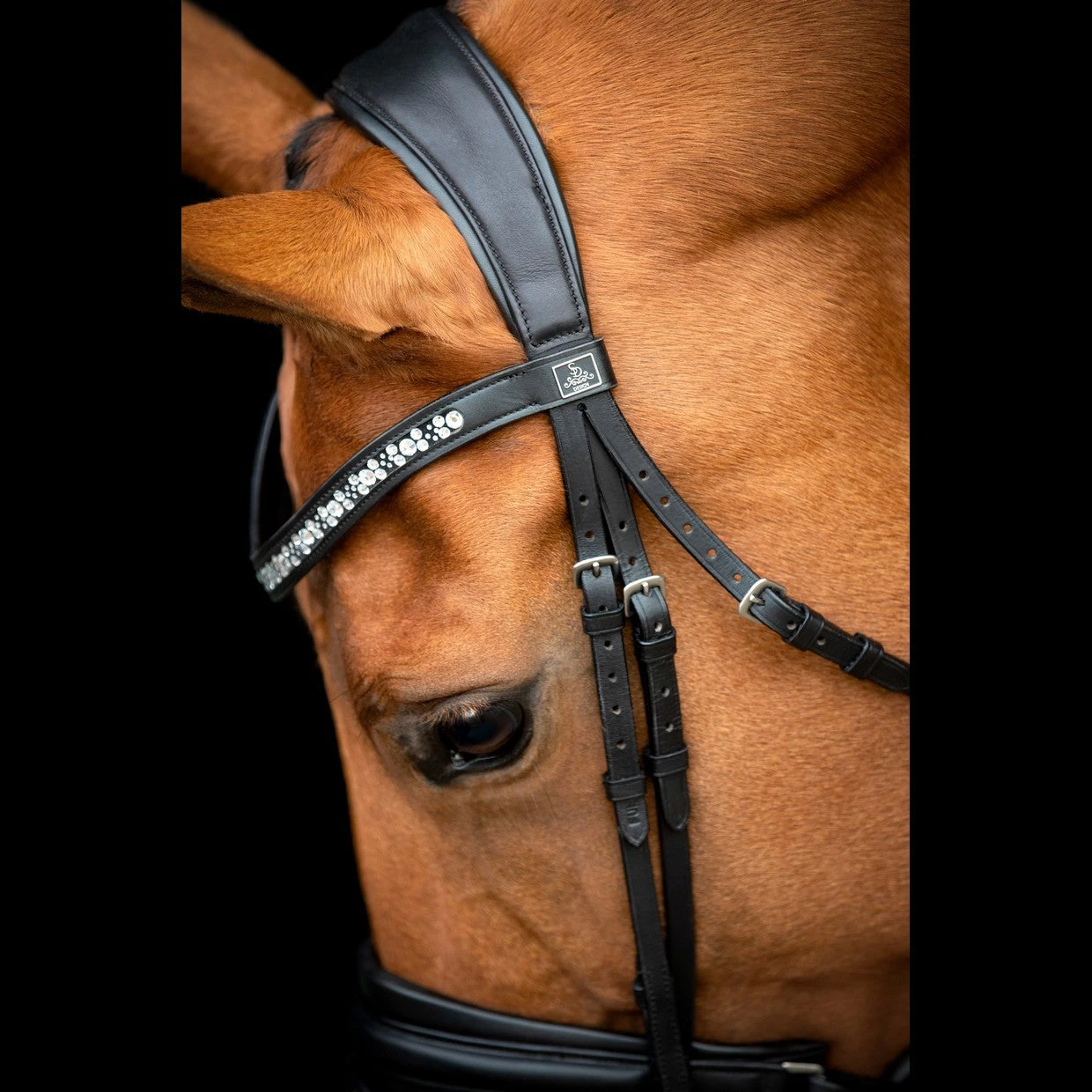 SD Design Vivaldi Browband Clear 5 SD Design Vivaldi Browband Clear - Image 5