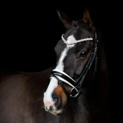 SD Design Romanov Browband Clear -Equestrian Club R 1290 SD Romanov browband3W