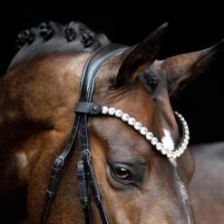 SD Design Valentino Browband Clear 5 SD Design Valentino Browband Clear -Equestrian Club R 1385 SD Valentino browband6W