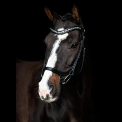 SD Design Vivaldi Browband Chrysolite -Equestrian Club R 921 SD Vivaldi browband Chrysolite 5