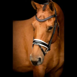 SD Design Vivaldi Browband Amethyst -Equestrian Club R 923 SD Vivaldi browband Amethyst4