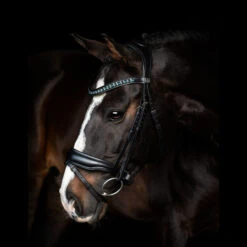 SD Design Vivaldi Browband Blue Lagoon -Equestrian Club R 924 SD Vivaldi Browband Blue Zircon4