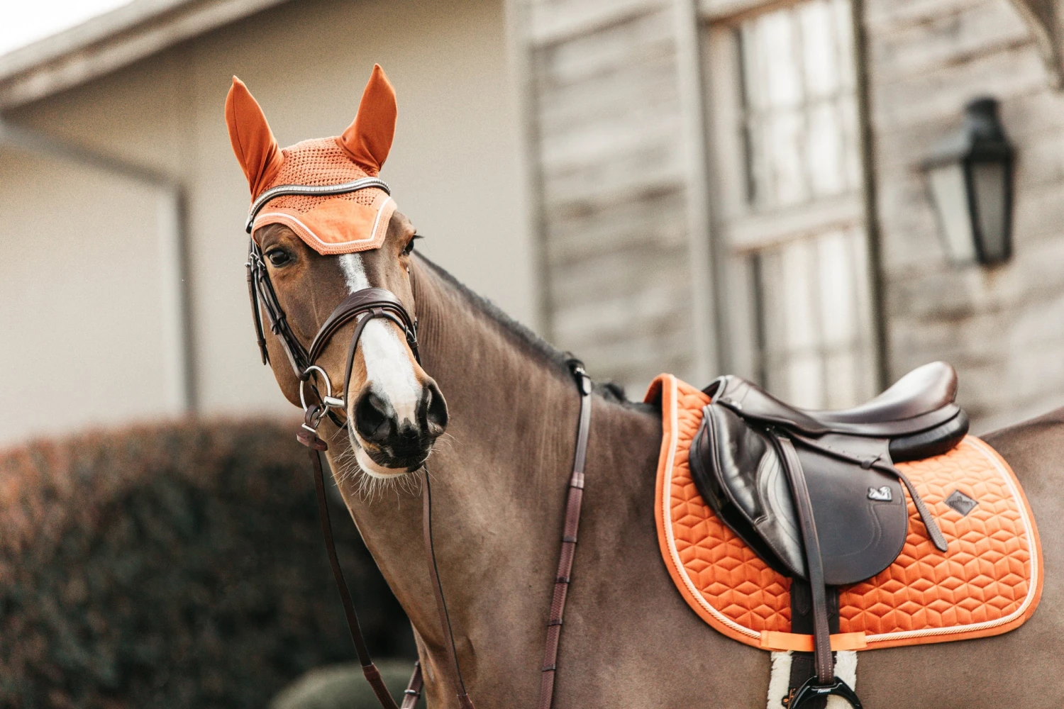 Kentucky Velvet Jump Saddle Pad Orange 5 Kentucky Velvet Jump Saddle Pad Orange - Image 5