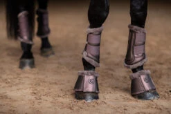 Equestrian Stockholm Brushing Boots Amaranth -Equestrian Club amaranth brushing boots benskydd gamaschen beenbeschermers on1