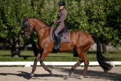 Equestrian Stockholm Vision Base Layer Amaranth -Equestrian Club amaranth riding top ridtopp oben reiten top rijden on3
