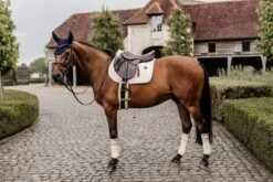 Kentucky Wool Jump Saddle Pad Beige -Equestrian Club b171971a69ad168b8cb63d237de551e96315c618909a039ac47ee5219f1d17bb