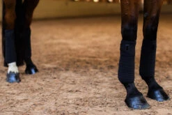 Equestrian Stockholm Bandages All Black Glimmer -Equestrian Club black glimmer fleece bandages benlindor bandagen bandages on1