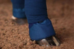 Equestrian Stockholm Bandage Pads Blue Meadow 6 Equestrian Stockholm Bandage Pads Blue Meadow -Equestrian Club blue meadow bandages pad bandageunderlagg bandagen pad verbandkussen on2