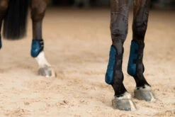 Equestrian Stockholm Anatomic Tendon Boots Blue Meadow 6 Equestrian Stockholm Anatomic Tendon Boots Blue Meadow -Equestrian Club blue meadow tendon boots framskydd peesbeschermers frontschutz on2