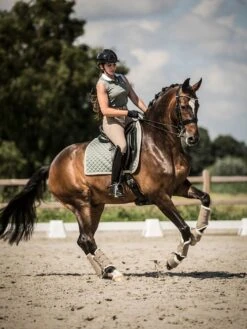 PS Of Sweden Bow Dressage Saddle Pad Thyme -Equestrian Club bowdressagethyme3 28aaae8c 0ac4 4e97 a13d f269b4c1d179